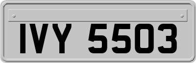 IVY5503