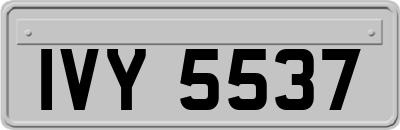 IVY5537
