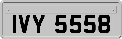 IVY5558