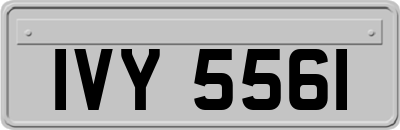 IVY5561