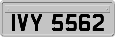 IVY5562