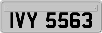 IVY5563