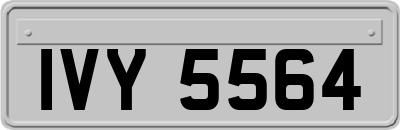IVY5564
