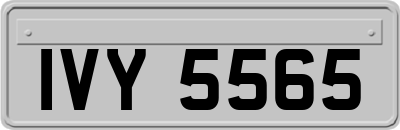 IVY5565