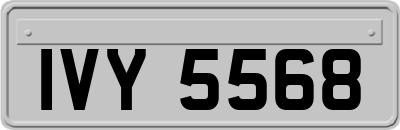 IVY5568