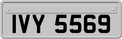 IVY5569