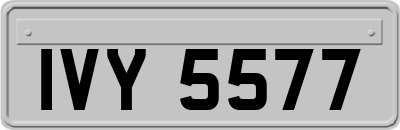 IVY5577