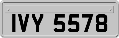 IVY5578