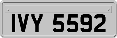 IVY5592