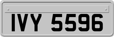 IVY5596