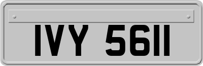 IVY5611