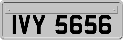 IVY5656