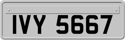IVY5667