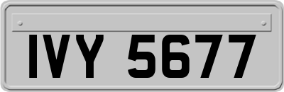 IVY5677