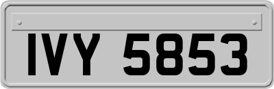 IVY5853
