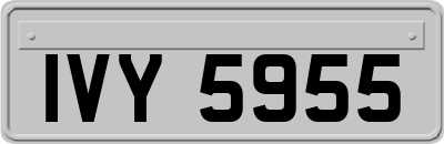 IVY5955