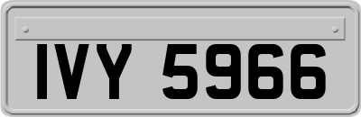 IVY5966