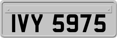 IVY5975