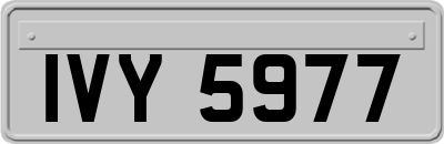 IVY5977