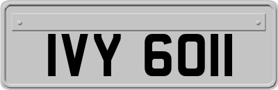 IVY6011