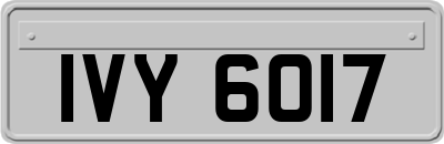 IVY6017