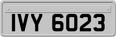 IVY6023