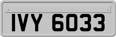 IVY6033