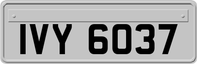 IVY6037