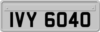 IVY6040