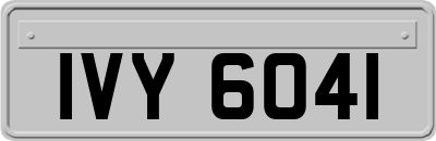IVY6041