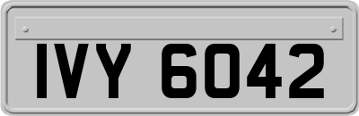 IVY6042