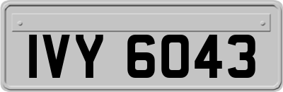 IVY6043