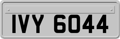 IVY6044