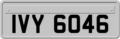 IVY6046