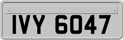 IVY6047