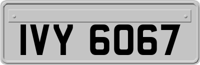 IVY6067