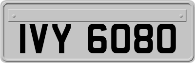 IVY6080