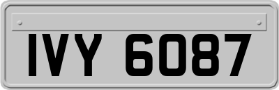 IVY6087