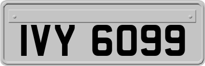 IVY6099