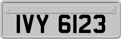 IVY6123