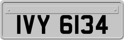 IVY6134