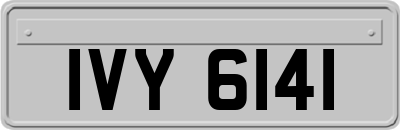 IVY6141