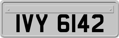 IVY6142