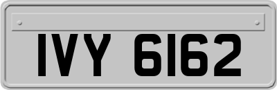 IVY6162
