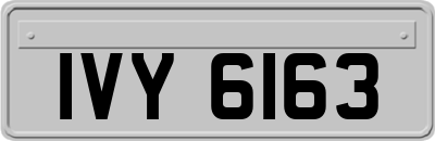 IVY6163