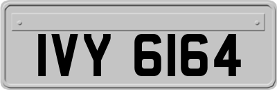 IVY6164
