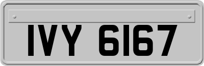 IVY6167