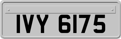 IVY6175