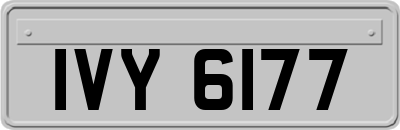 IVY6177