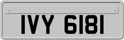 IVY6181
